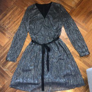 Banana Republic Silver Sparkle Dress